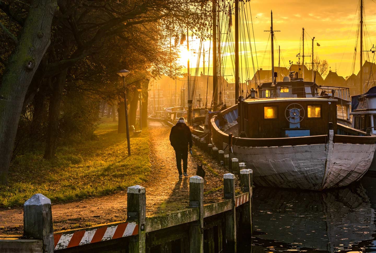 Haven van Hoorn